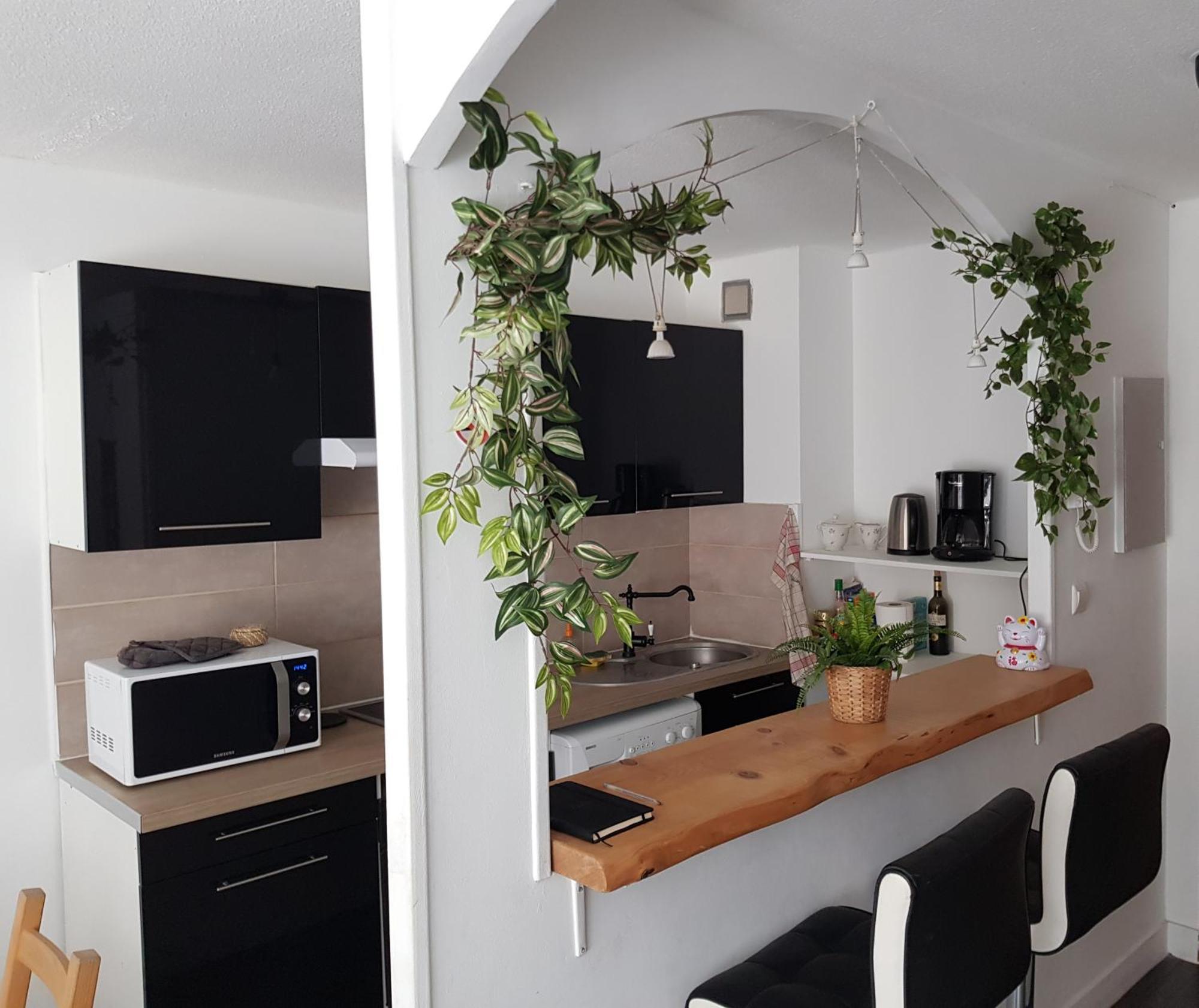 Apartamento Le Petit Thai 2 Pieces Zen Centre *